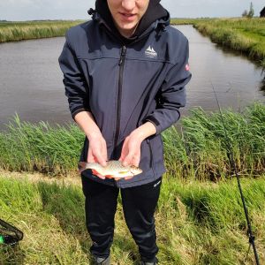 Profilbild