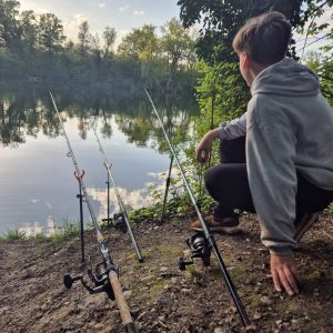 Profilbild