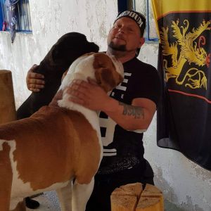 Profilbild