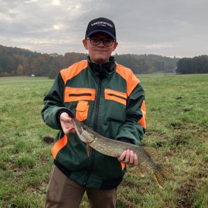 Profilbild