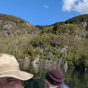 Profilbild