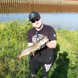 Profilbild