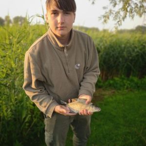 Profilbild