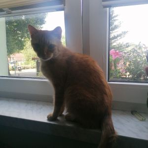 Profilbild