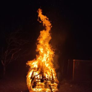 Profilbild