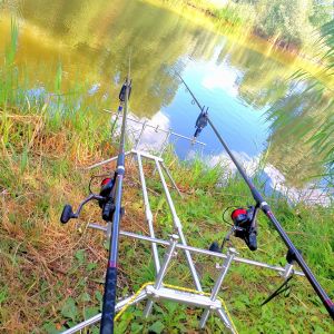 angelkrank_potsdam_nord