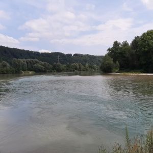 Sproddenkönich