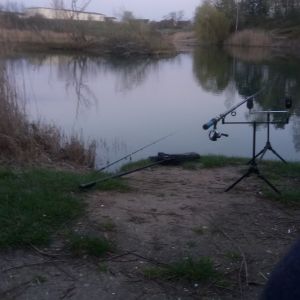 Profilbild