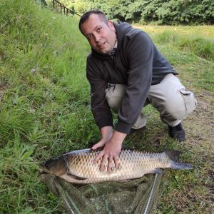 Profilbild
