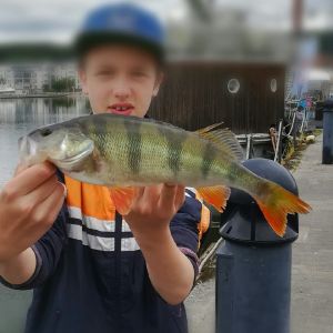 Profilbild