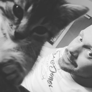 FoxDevilWild