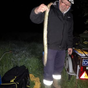 Profilbild