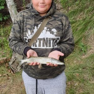 The Fishing King