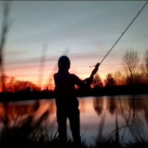 Profilbild