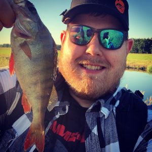 Mattifishing