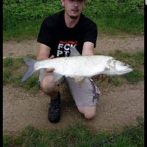 Profilbild