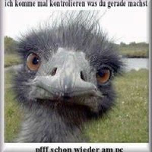 Der mit den Fischen tanzt