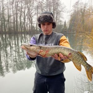 Profilbild