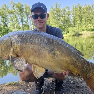 Niklas Sp