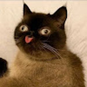 Profilbild