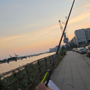 imon_fishing95