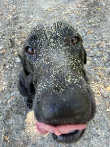 Profilbild