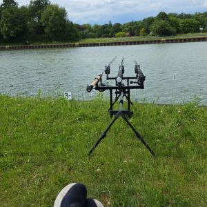 Profilbild