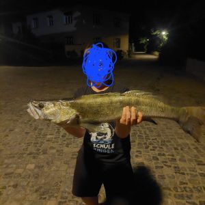Profilbild