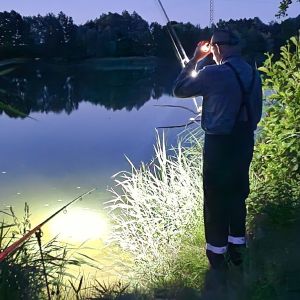 Profilbild