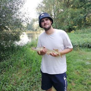 Profilbild