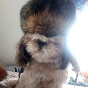Profilbild