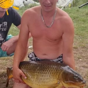 Profilbild