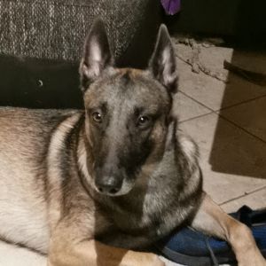 Profilbild