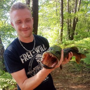 Profilbild