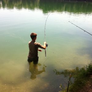 Profilbild