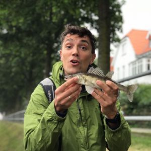 Profilbild
