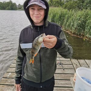 Profilbild