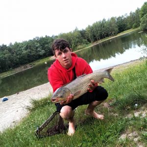 Profilbild