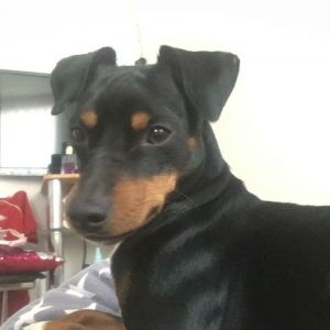 Profilbild
