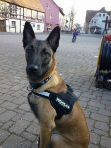 Profilbild