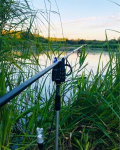 dm_fishing_domi