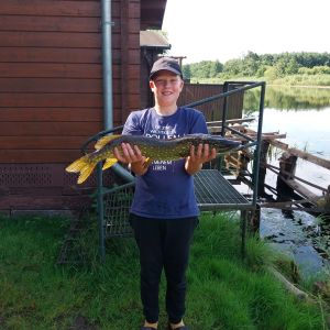 Profilbild