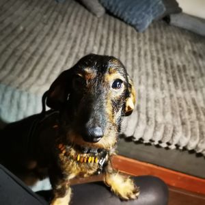 Profilbild