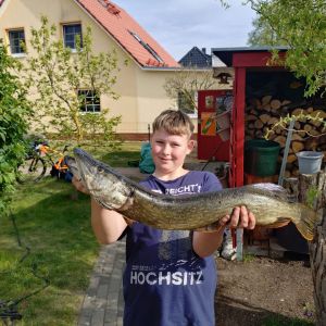 Profilbild