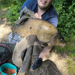 Profiangler95