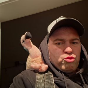Profilbild