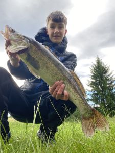 Profilbild