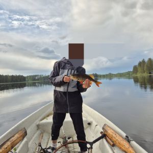 Profilbild