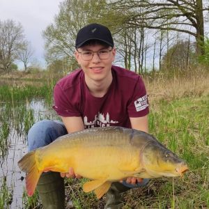 Profilbild