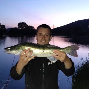 Profilbild